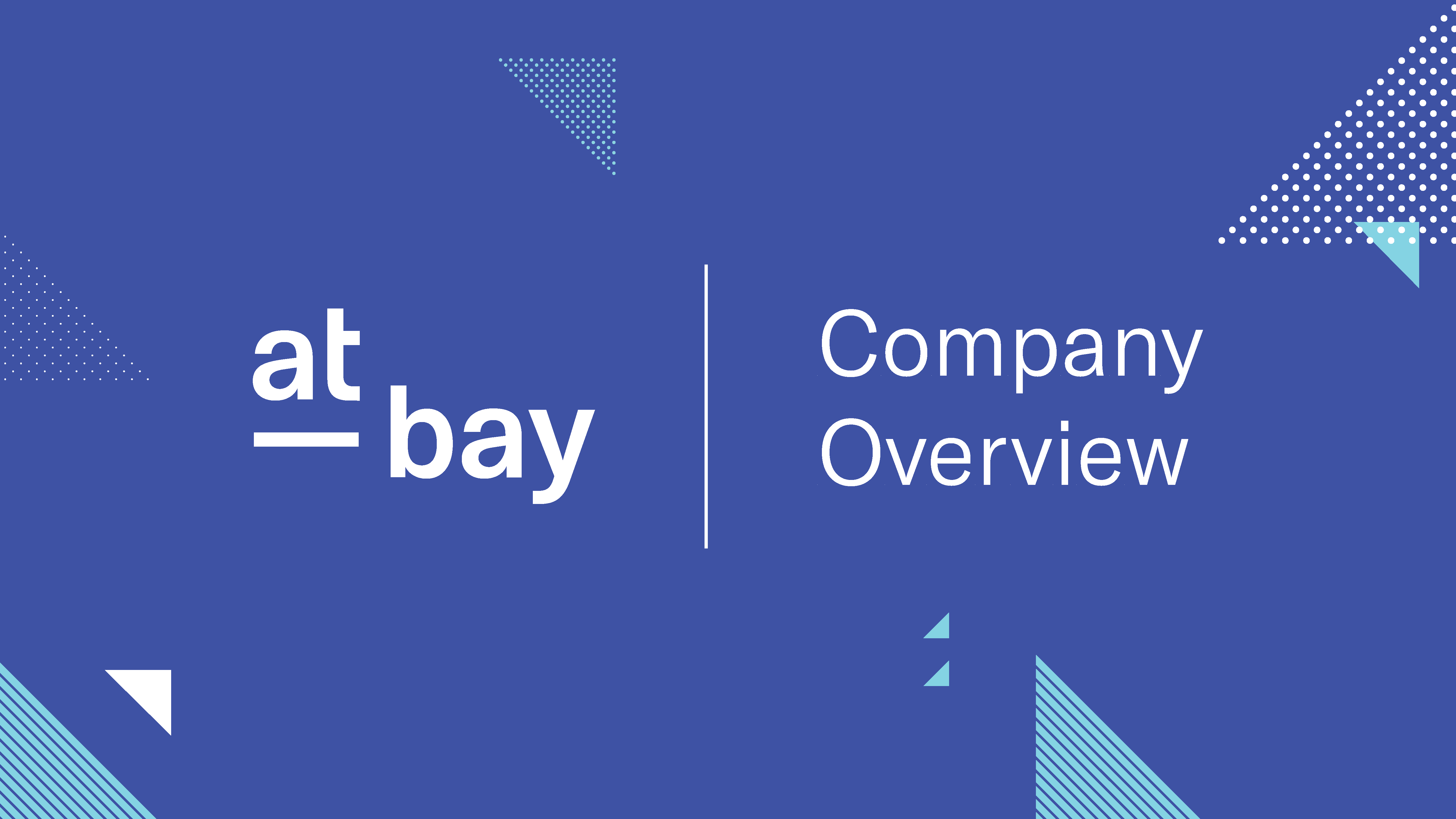 At-Bay Cyber Insurance: Company Overview