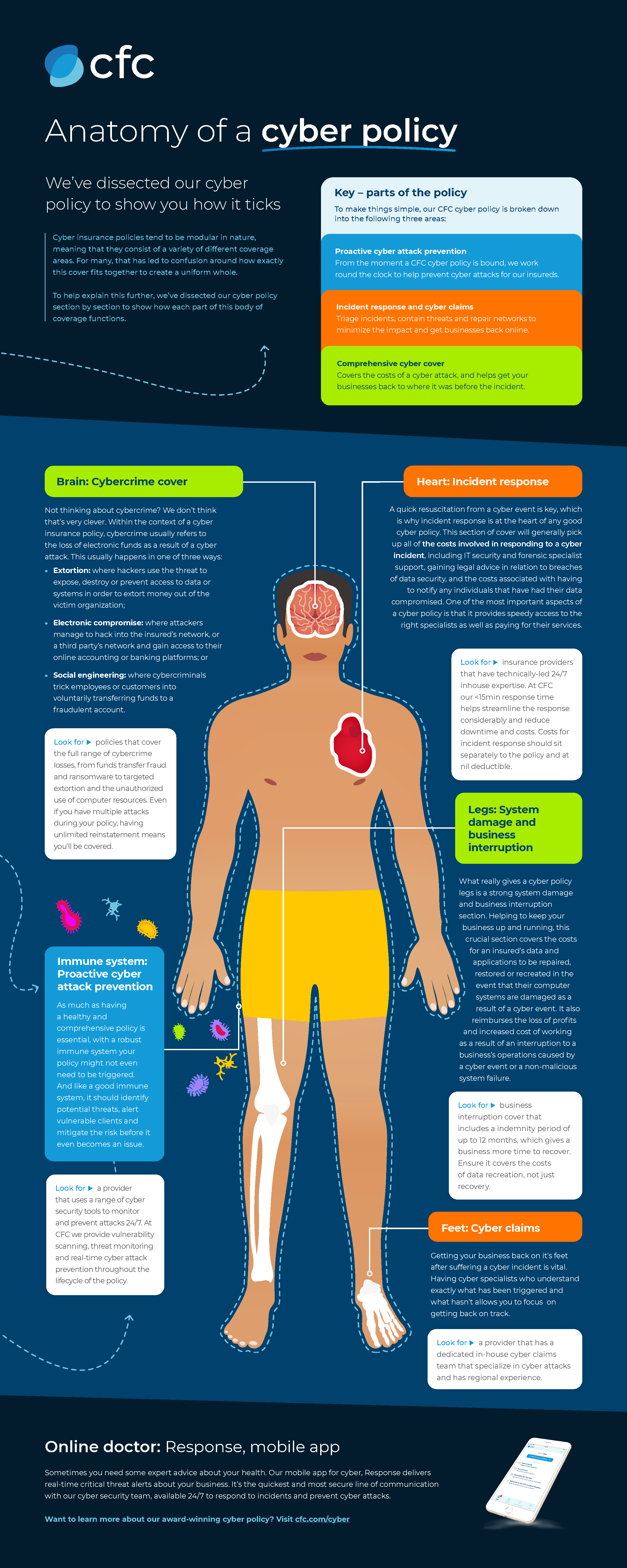 CFC Cyber Infographic - Anatomy of a Cyber Policy